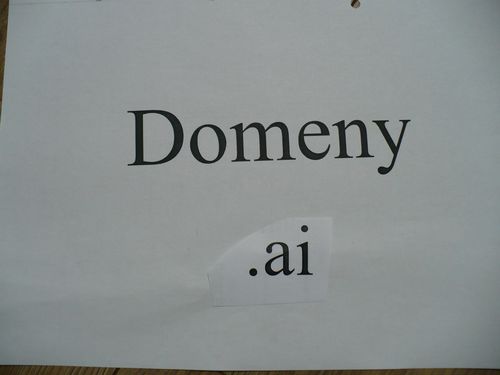 Domeny ai