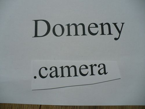 Domeny camera