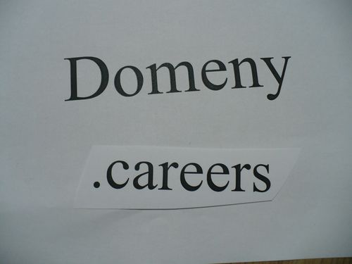 Domeny careers