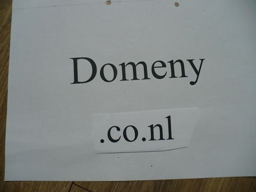 Domeny co.nl