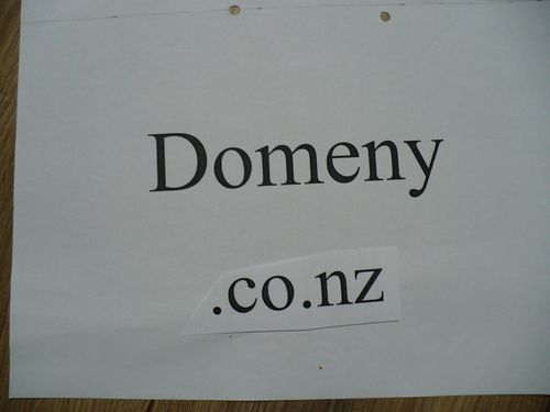 Domeny co.nz