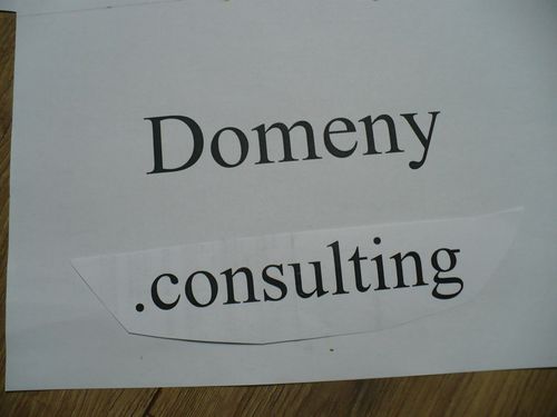 Domeny consulting