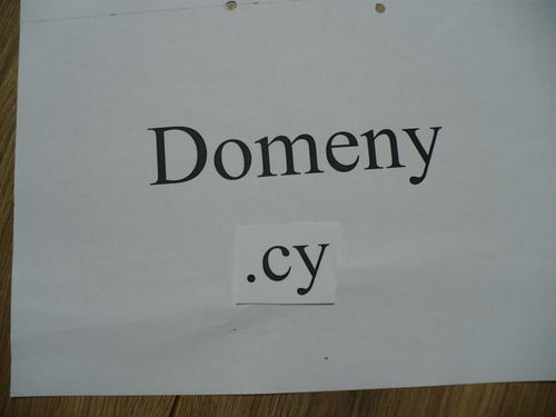 Domeny cy
