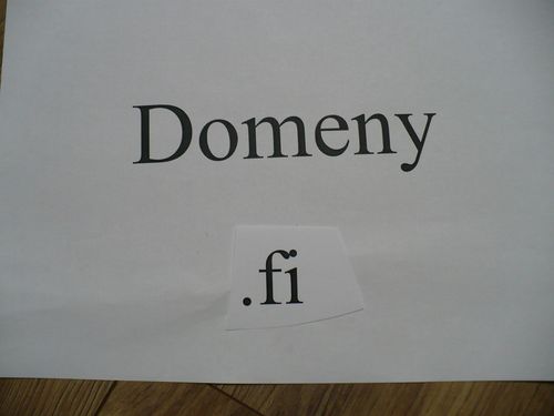 Domeny fi