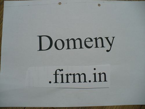 Domeny firm.in