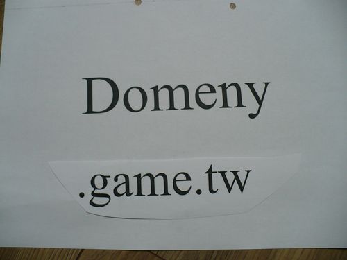 Domeny game.tw