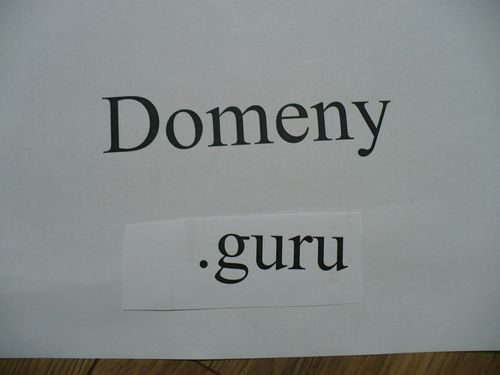 Domeny guru