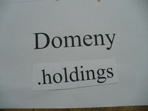 Domeny holdings