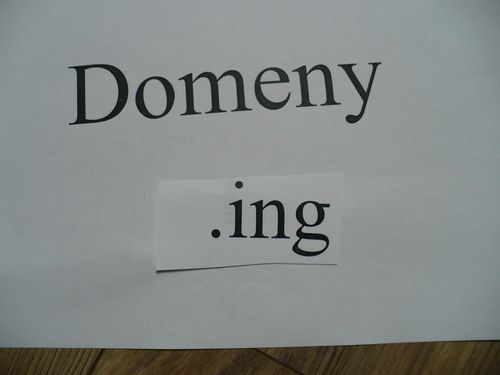Domeny ing