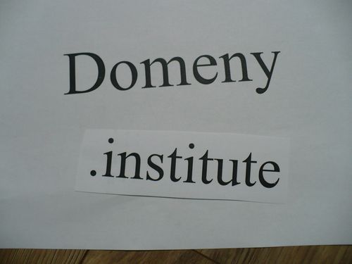 Domeny institute