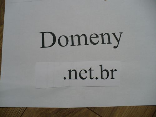 Domeny net.br