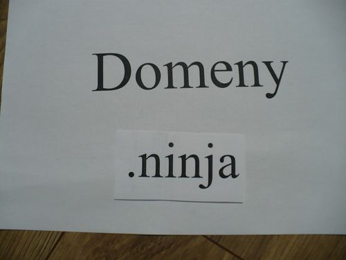 Domeny ninja