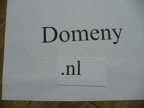 Domeny nl
