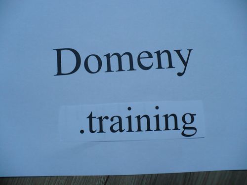 Domeny training