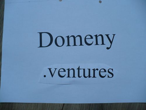 Domeny ventures